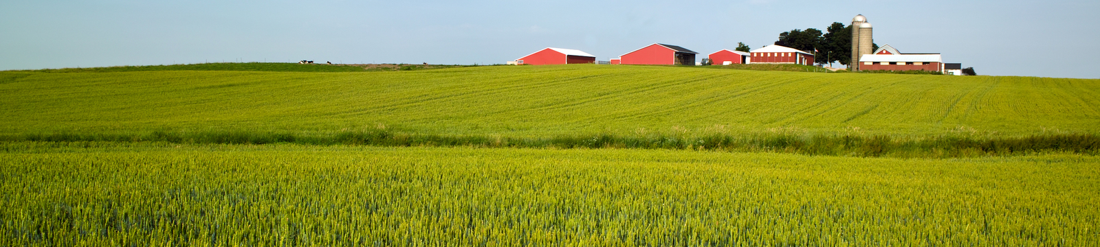 Field with a farm in the background.